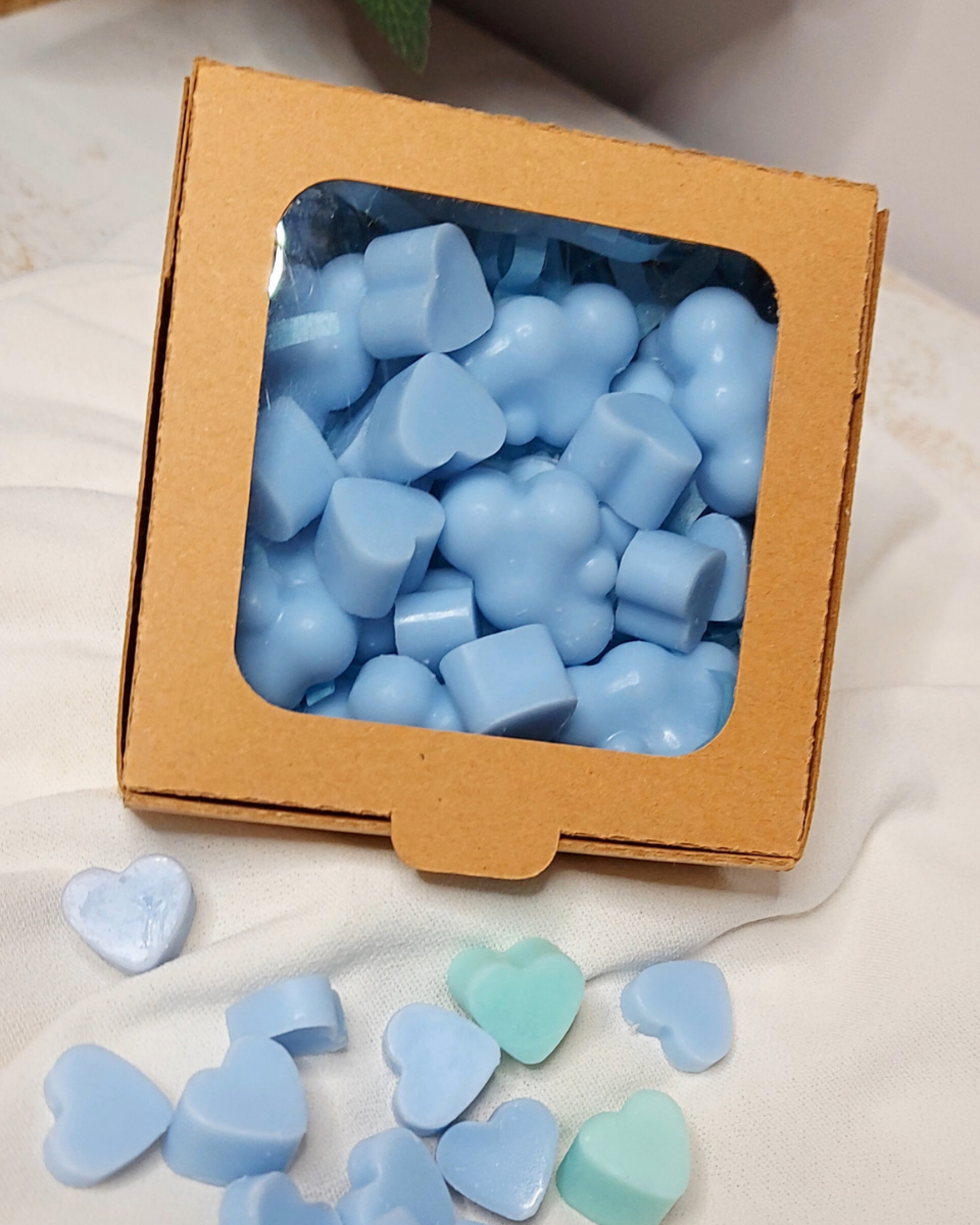 Wax Melts Ropa Limpia - 3