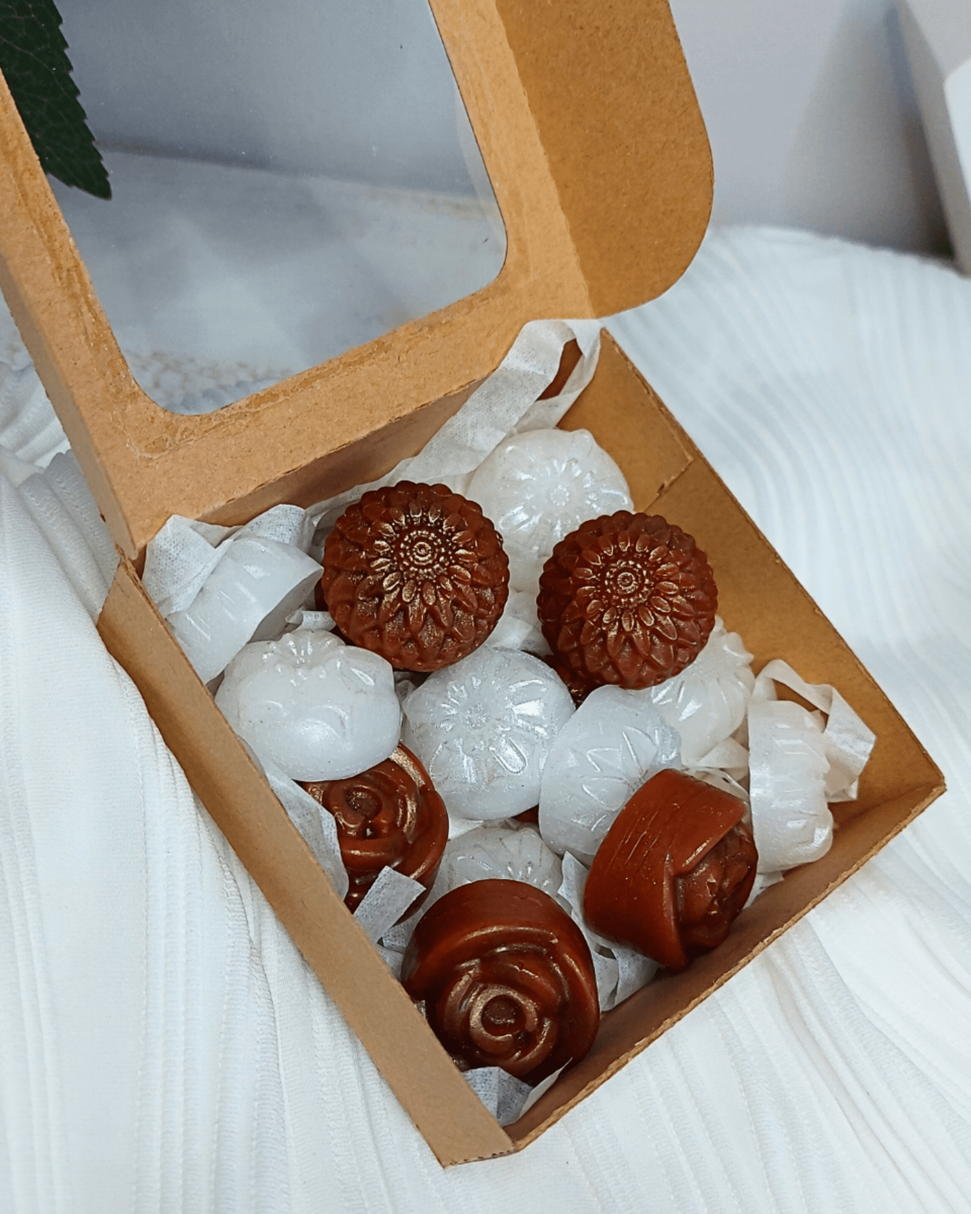 Wax Melts Coco y Cítricos - 2