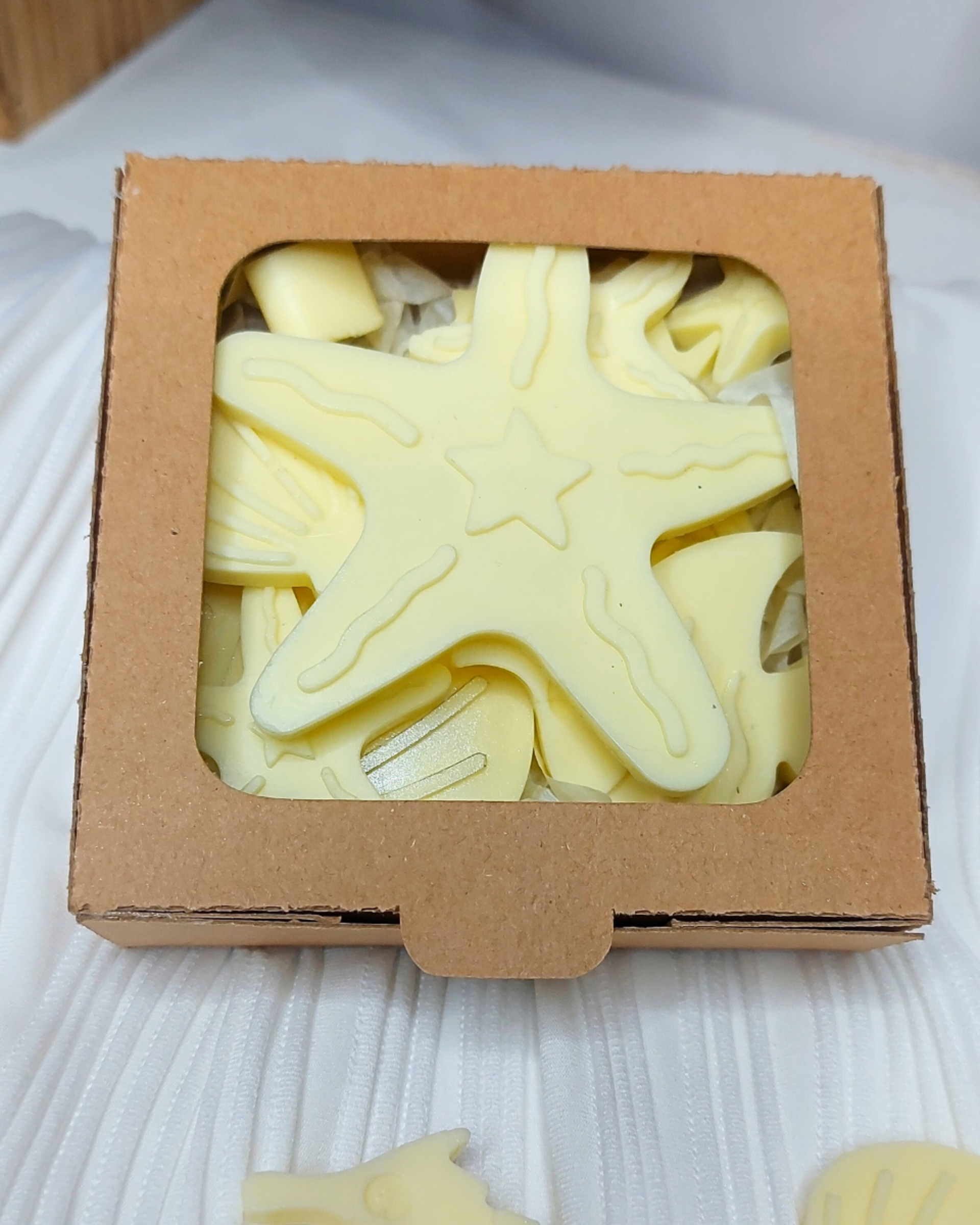Wax Melts Bajo el Mar - 3
