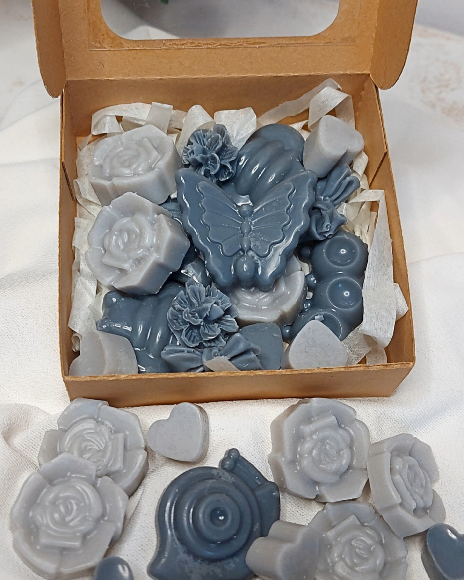 Wax Melts Noche Oscura - 2