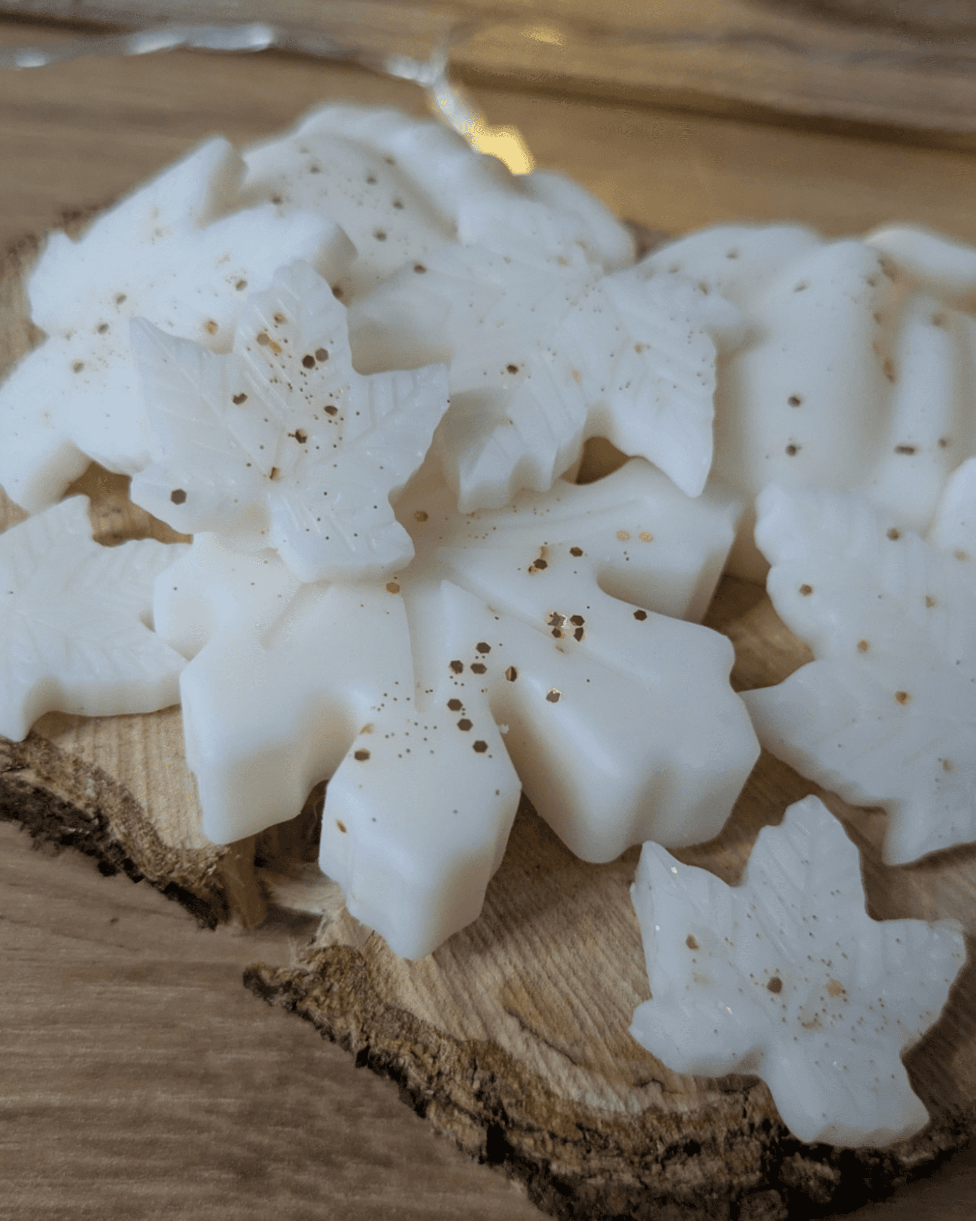 Wax Melts Poción de Brujas - 1