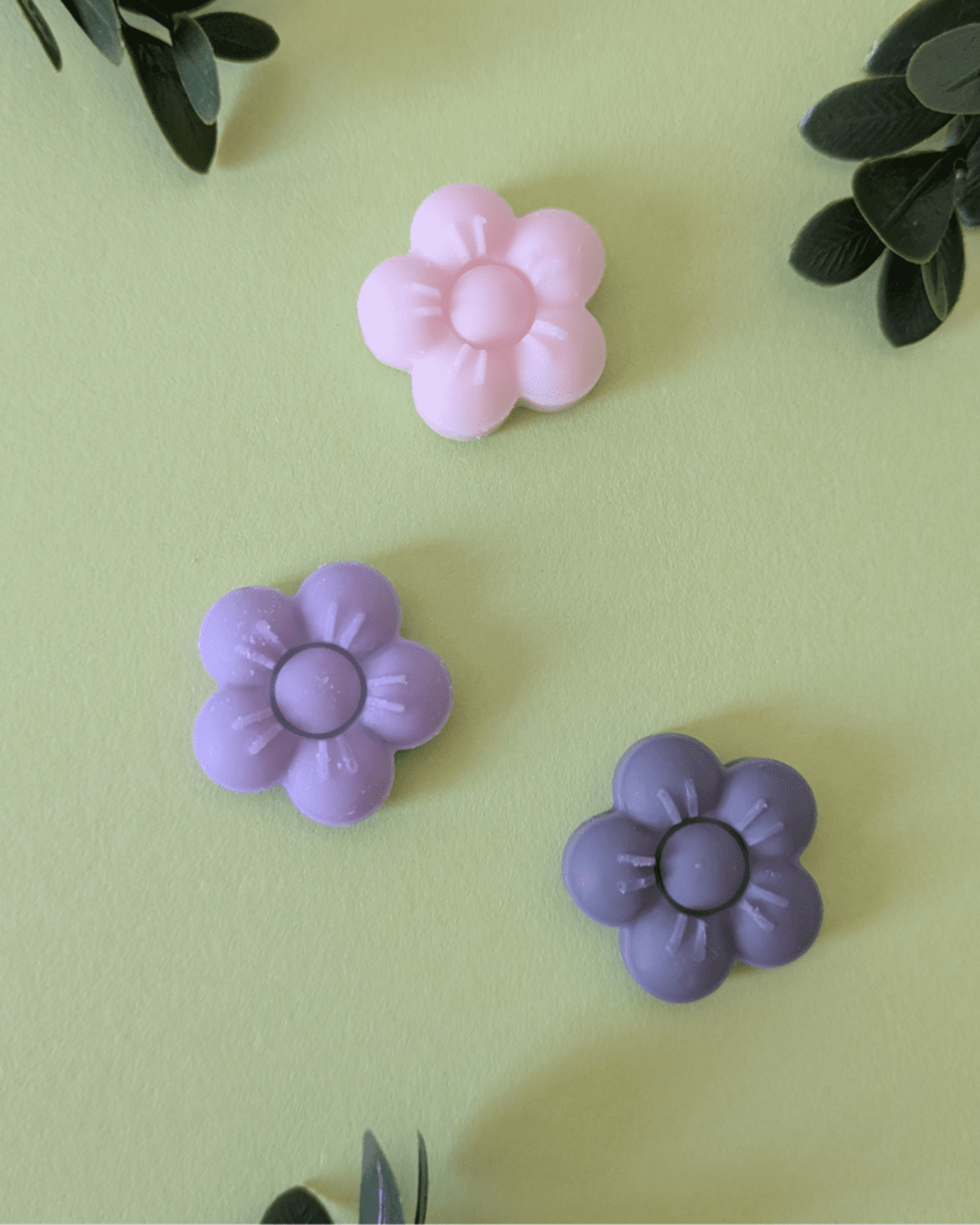 Wax Melts Maravilla del Universo - 1