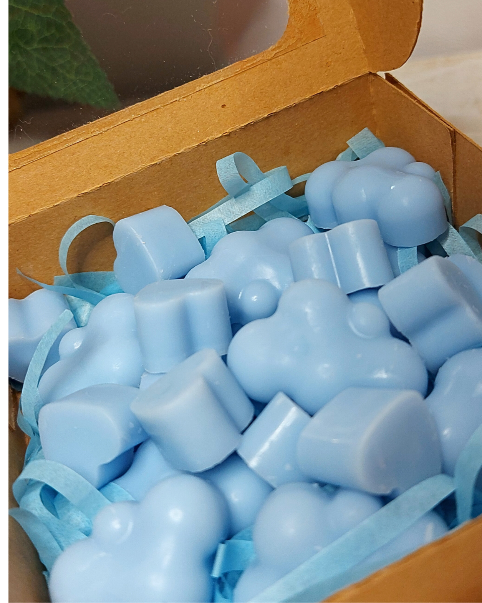 Wax Melts Ropa Limpia - 2